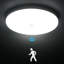 Danyia Silver LED Outdoor Flush Mount
