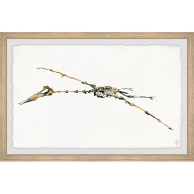Brokaw 'Pterodactyl Skeleton' Framed Print