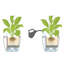 Quadro Premium Pot Planter-16493023