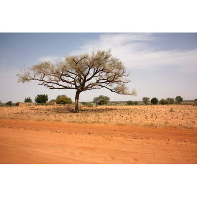 " Africa Landscape "