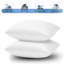 Plain Velvet Cushion Cover-(Pack of 4)-1643677861