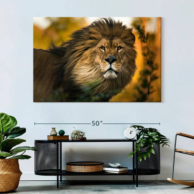 Brampt Lion Head Splendor, 34" H x 51" W