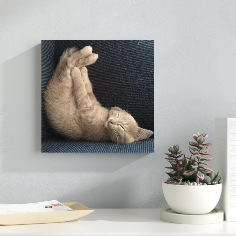 Cat Yoga VII, H 12 po x l 12 po
