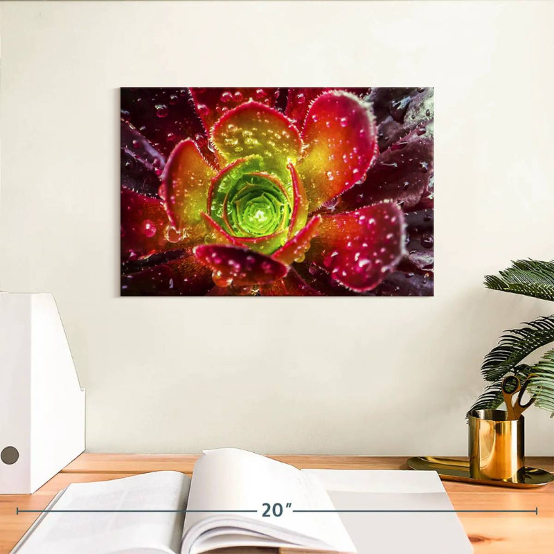 Harnek Dewy Floral Succulent, 8" H x 12" W
