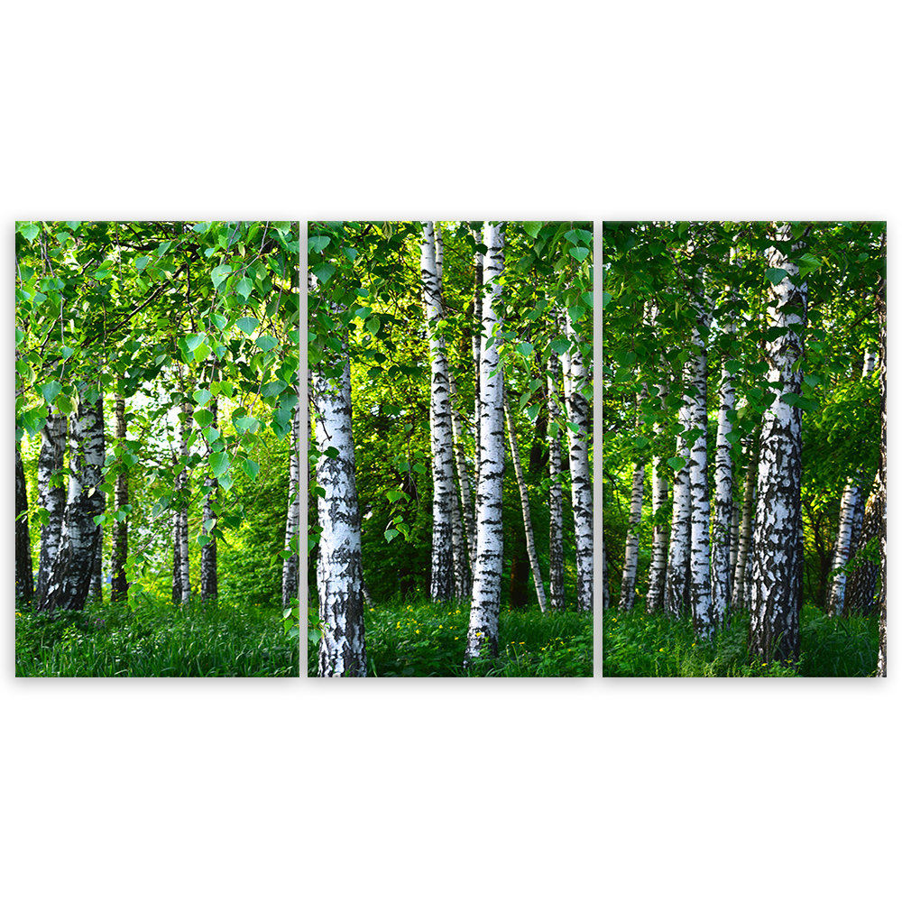 Leinwandbild Birch Forest Green