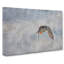 Atlantic Puffin Birds Vol.5 - Wrapped Canvas-61875844