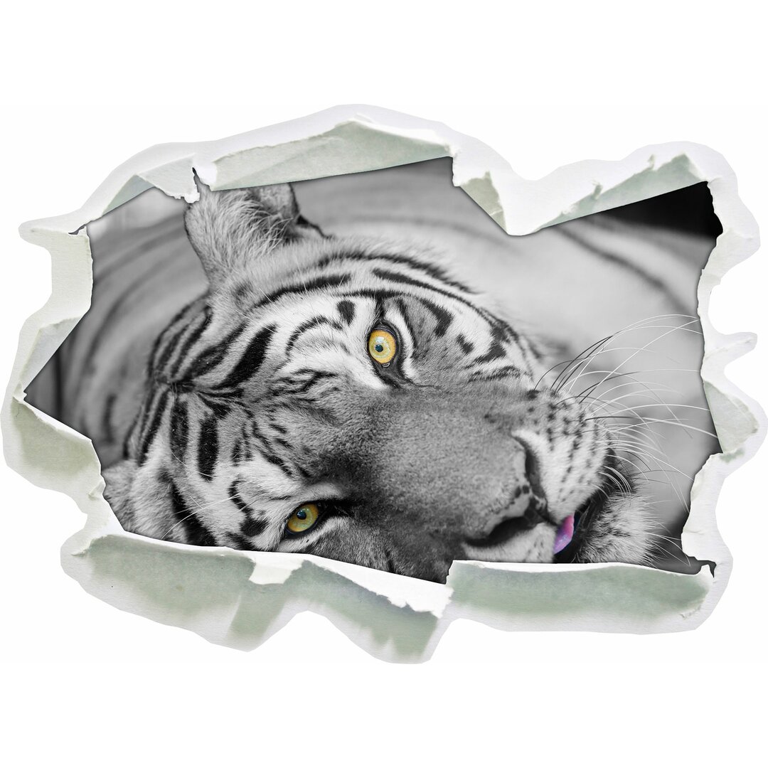 Wandtattoo Ruhender Tiger