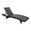 Ensemble de 2 chaises longues d'extérieur luxueuses en résine