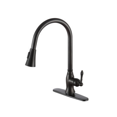 ANZZI Rodeo Series Pull Out Kitchen Faucet
