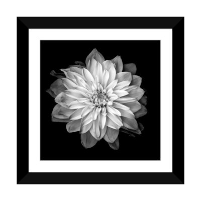 «Dahlia XVII, B&W» par Magda Indigo, impression sur toile