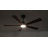 Karlena 52" Black Ceiling Fan with Light Dimmable 3CCT Quiet Reversible Motor Remote Control-859230536
