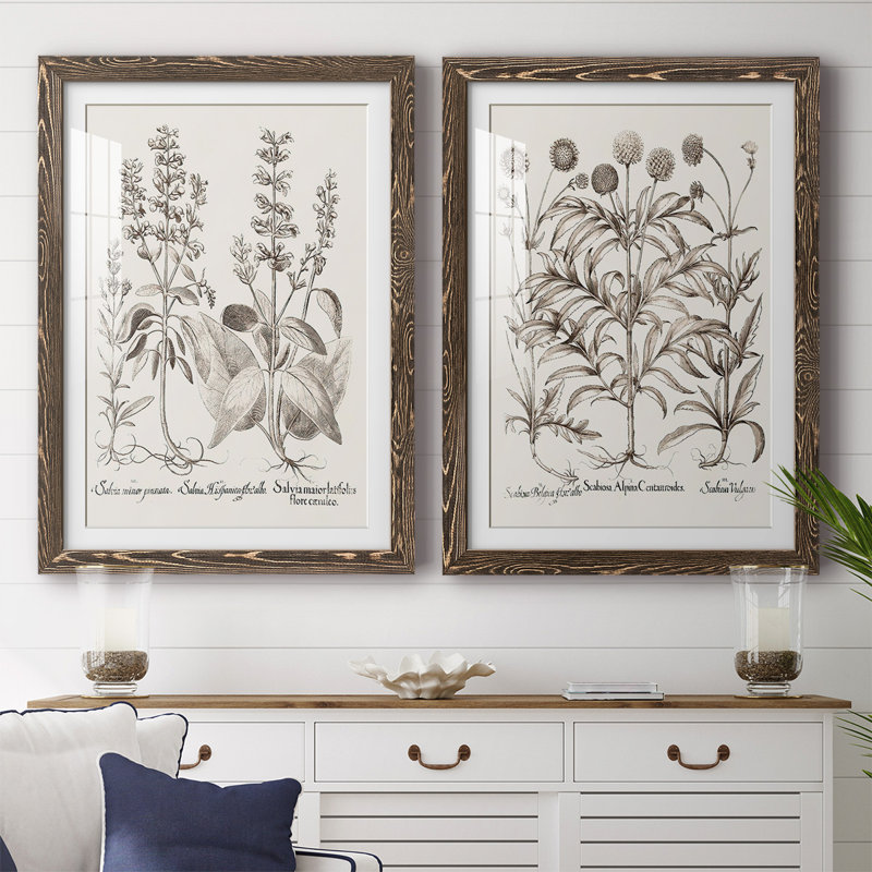 Sépia Besler Botanicals III - reproduction encadrée de qualité supérieure - prête à être accrochée, Noyer