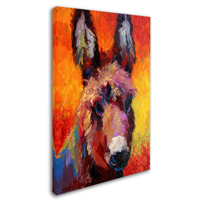 " Donkey Portrait II "