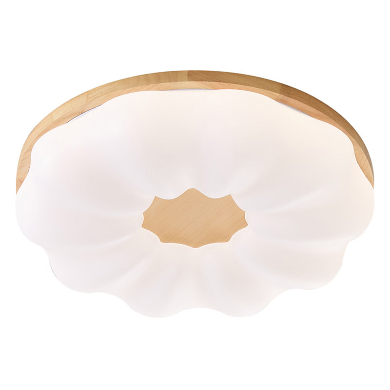 Acrylic Semi Flush Mount