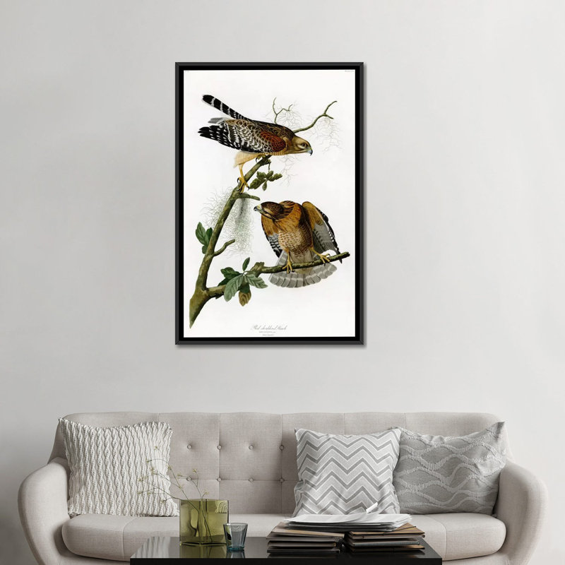 « red-épaulee hawk » par john james audubon, reproduction d’art sur toile, H 26 po x l 18 po x P 1,5 po, Pas de tapis