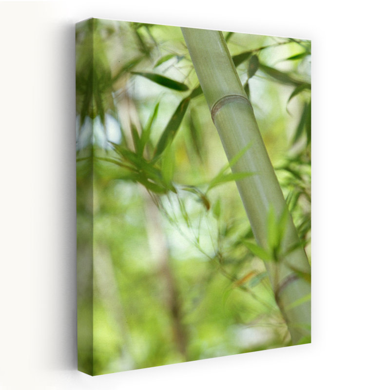 Bambou III, délicat, organique, serein, bambou, art naturel, H 60 po x l 40 po