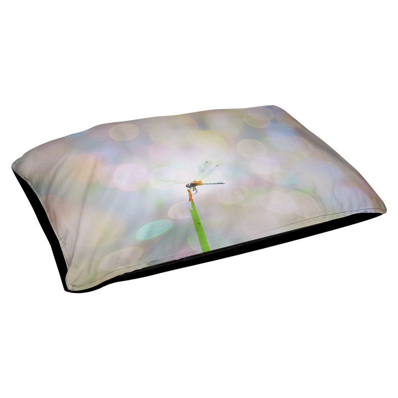Coussin de concepteur libellule lights Burien, L 32,5 po x l 42,5 po, Noir
