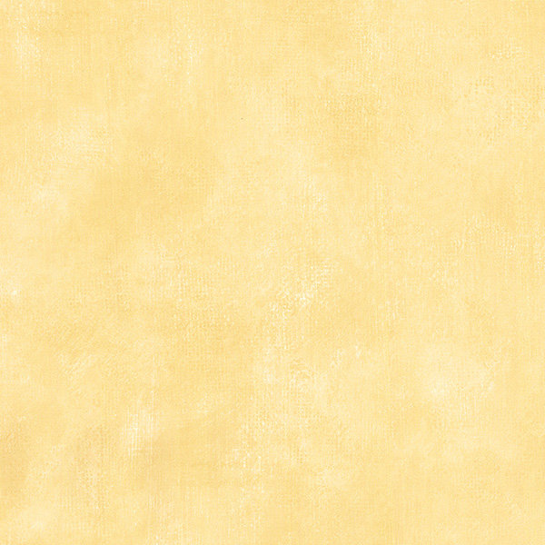 Rouleau de papier peint L 33 pi x l 21 po