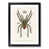 Black Framed selected