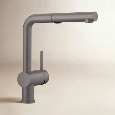 Linus Low Arc Pull-Out Kitchen Faucet