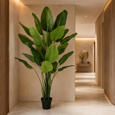 Artificial Tropical Plants And Trees 200cm Faux Palm Tree in Pot Liner