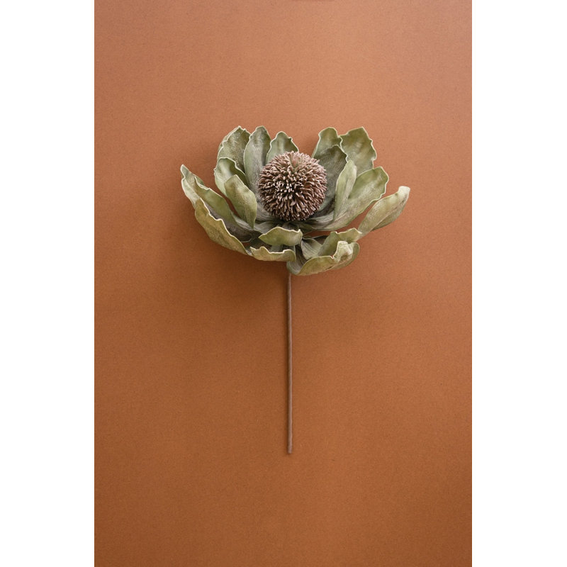  Green Pod Botanical Stem Earthy Woodland Accent for Arrangements