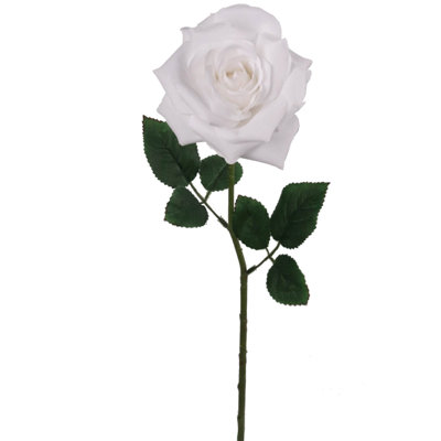 Roses Stem