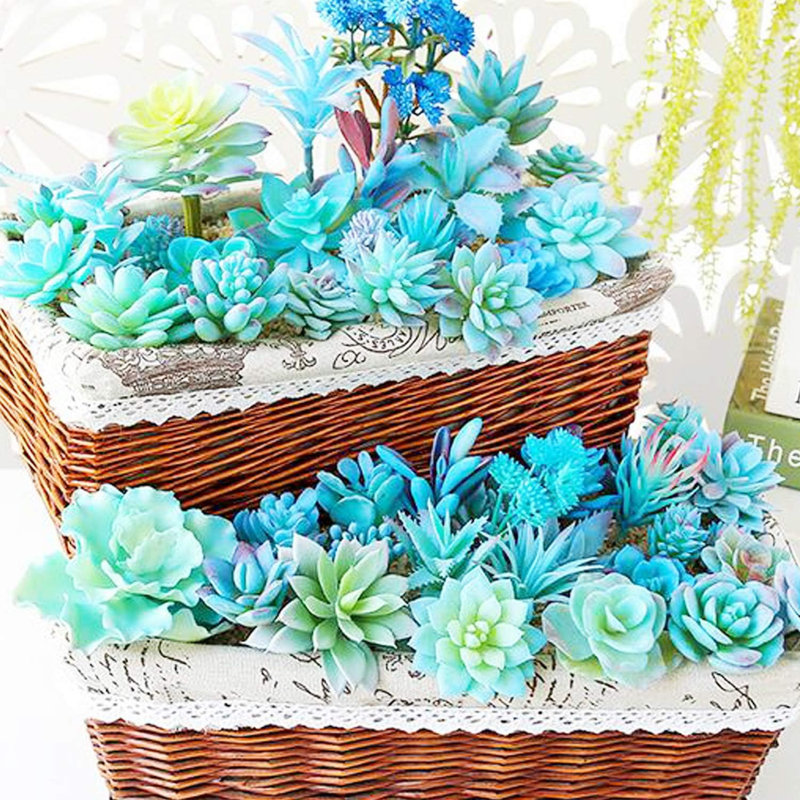 21-piece Blue Style 13 Artificial Succulent Plants
