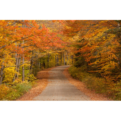 Winding Road Through A Forest by ImagineGolf - No Frame Art Prints on Canvas