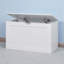 Armoire de rangement à plateau relevable