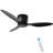 Genovera 40'' Ceiling Fan with LED Lights-1596812781