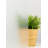Graphics Window Decal
