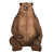 Grizzly brun est en rupture de stock
