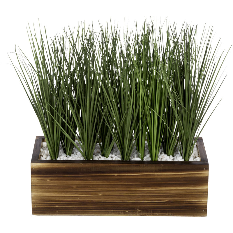 33cm Faux Onion Grass Grass in Wood Planter
