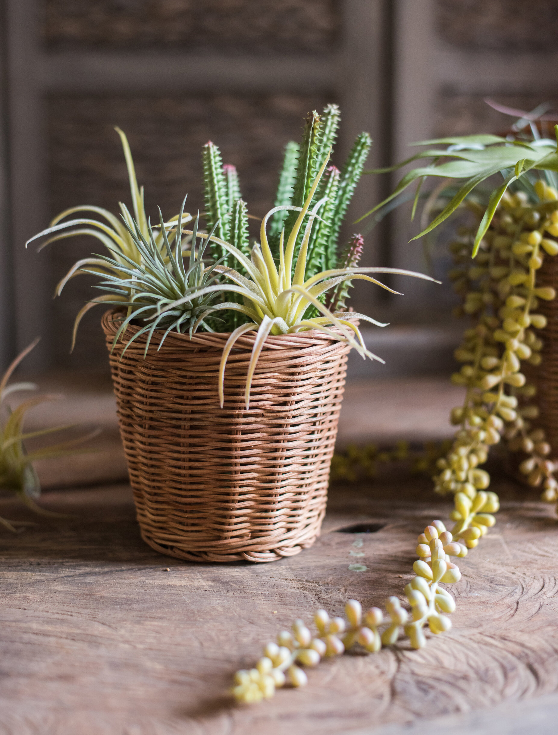 Saison 5 Piece Manufacture Wood Basket Set