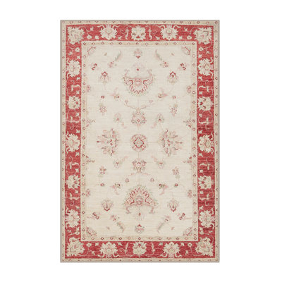 Frenchboro Southwestern Indoor Rug