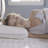 Memory Foam Plush Cooling Pillow