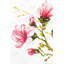 Aquarelle sur toile de fleurs de magnolia | Art floral