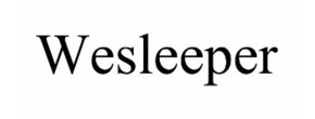 Logo WESLEEPER
