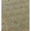 Agra Wool Oriental Area Rug in Beige