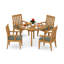 Caranas Outdoor 5 - Piece Teak Dining Set