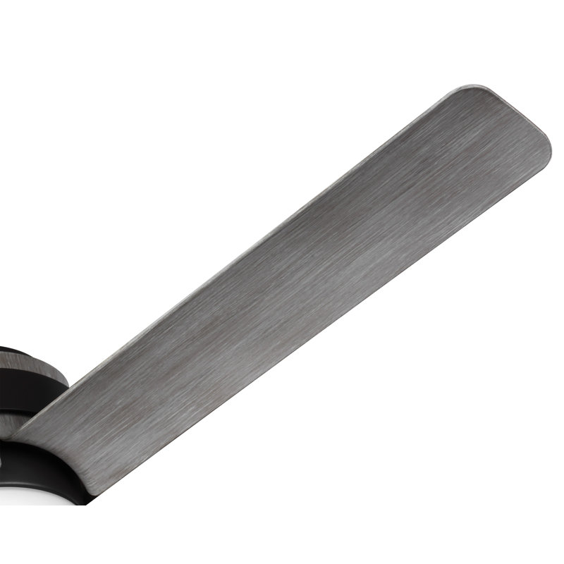 Ventilateur de plafond extérieur standard Kaysville 56 po à 6 pales avec télécommande et ensemble d'éclairage DEL inclus