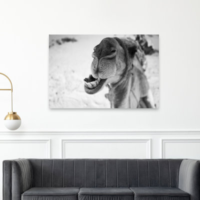Comical Camel Grin Abstract Contemporary Wildlife Wall Art Print