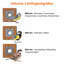 Dobar Birdhouse