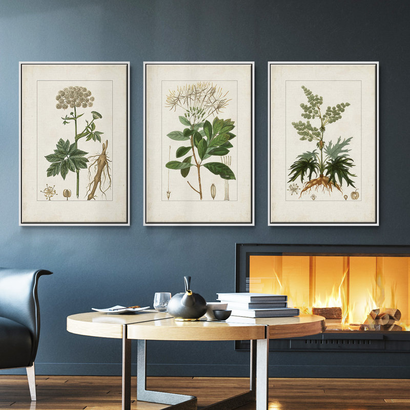 Ensemble de 3 pièces rétro en fleurs IV encadrées sur toile, Blanc, H 27 po x l 54 po