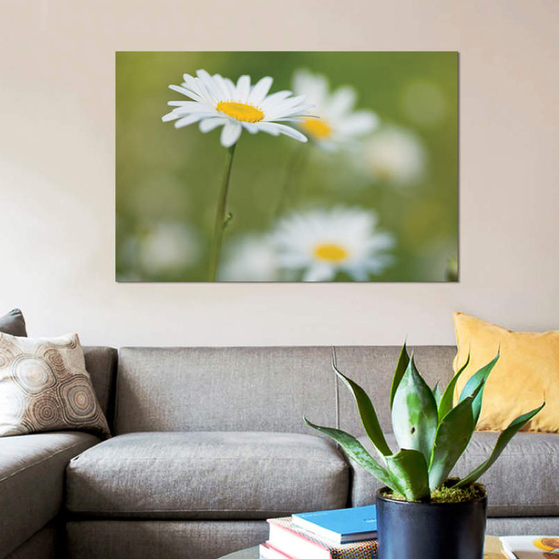 « marguerites », impression sur toile, H 8 po x l 12 po x P 0,75 po, Toile tendue, Pas de tapis