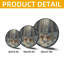 Panneau de vitrail cerf par Winter Stream-879526507