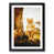 Black Framed