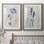 «Indigo Botanical I», ensemble de 2 reproductions d'impressions-354319569-291994799-291994768