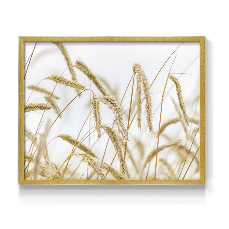 Wheat -Framed Print - Restickable, 22" H x 28" W